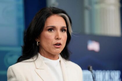 Tulsi Gabbard denies wrongdoing over delayed whistleblower complaint referral to Congress members: ‘Baseless’