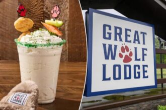 Ranch milkshake topped with carrots, whipped cream and crispy chicken to go on sale next month: ‘Horrifying’