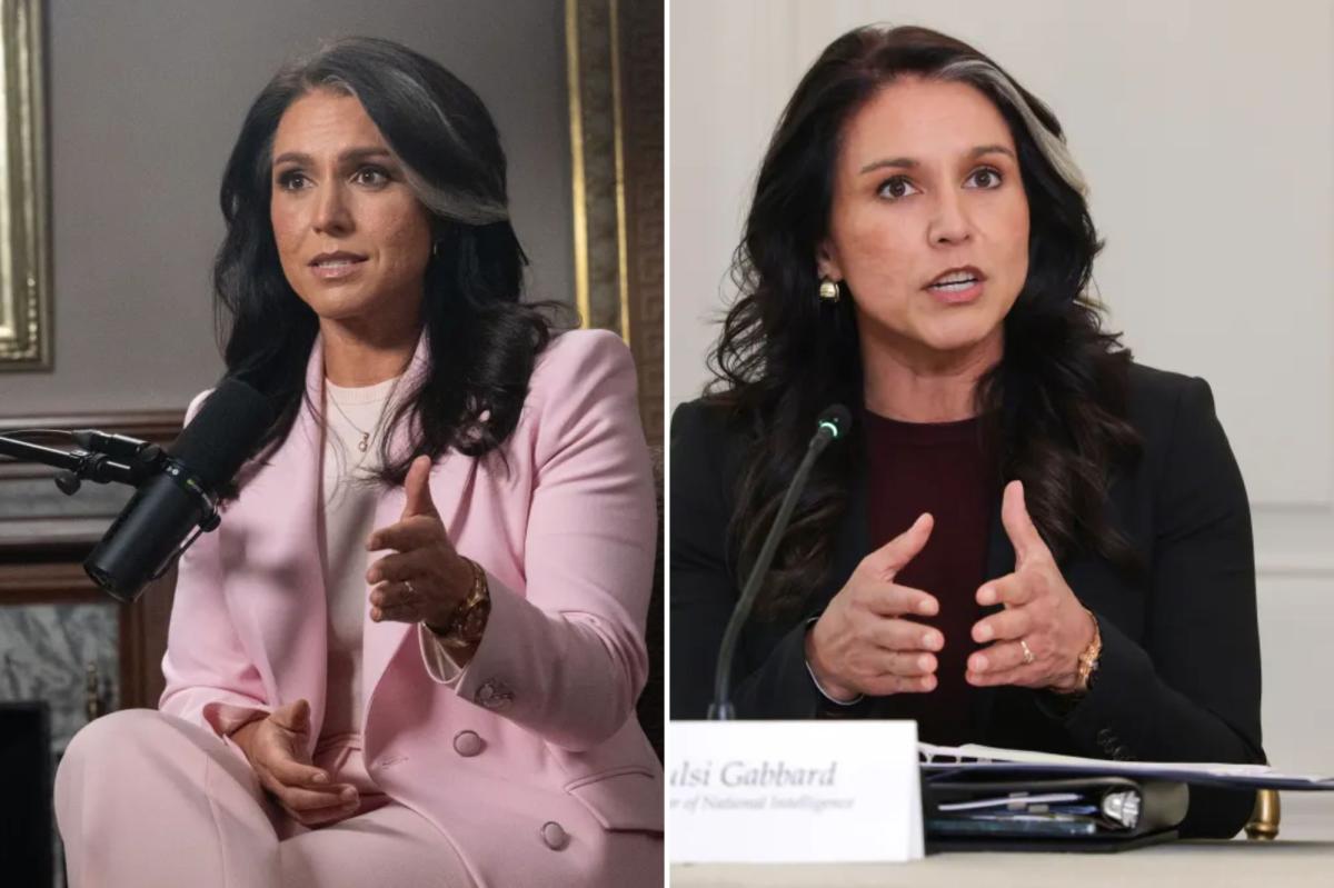 Tulsi Gabbard hit with mysterious whistleblower complaint as office insists ‘no wrongdoing’
