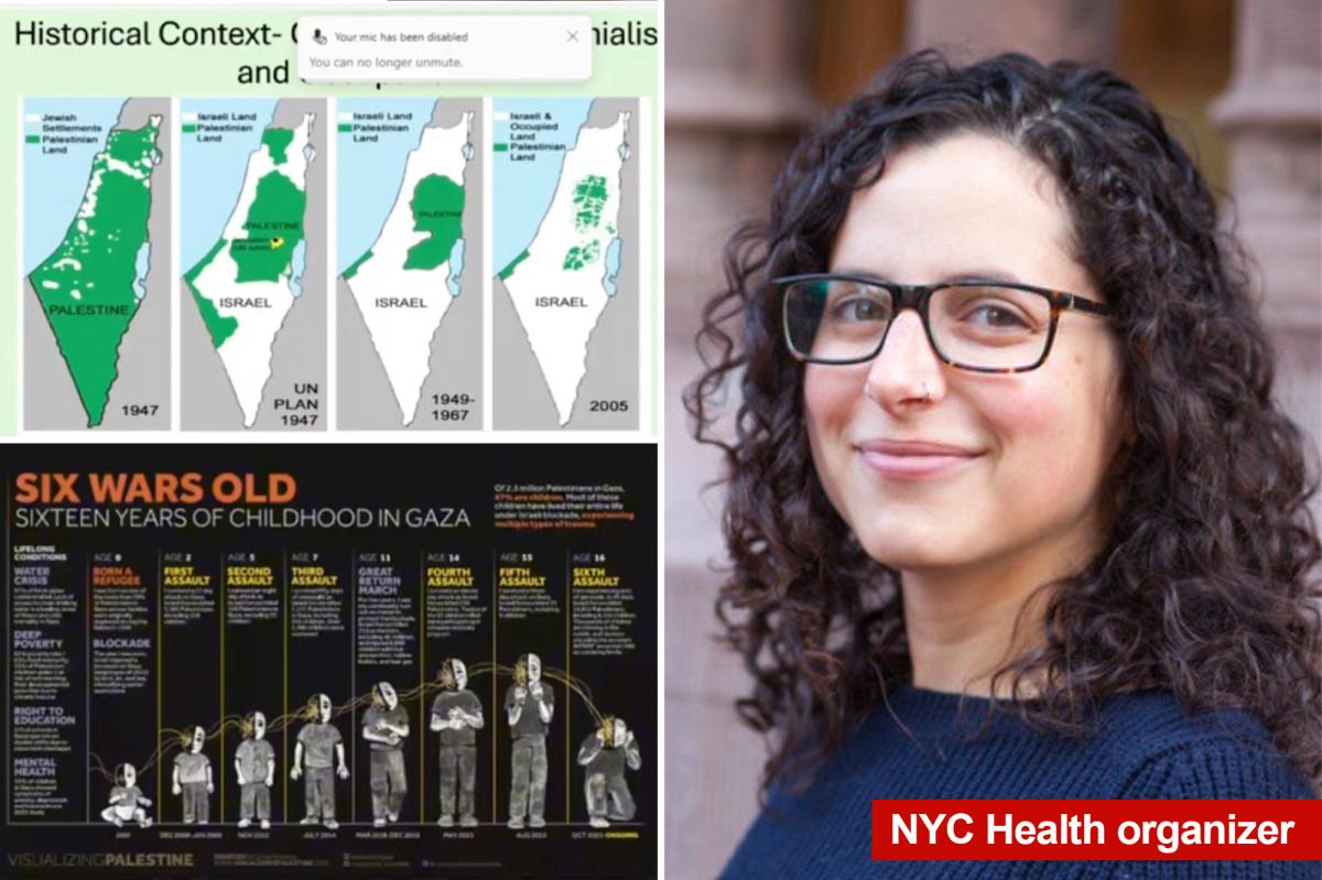 Exclusive | Mamdani NYC health department staffers launch ‘working group’ accusing Israel of genocide