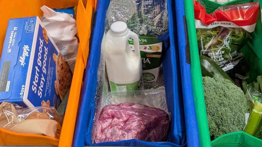 My New Obsession: Clever Grocery Bags That Hang on Your Cart for Easy Sorting