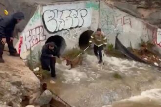 Video shows firefighters working to rescue dog stuck in storm drain after heavy SoCal rains