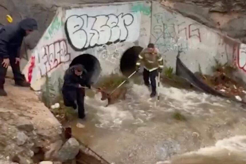 Video shows firefighters working to rescue dog stuck in storm drain after heavy SoCal rains