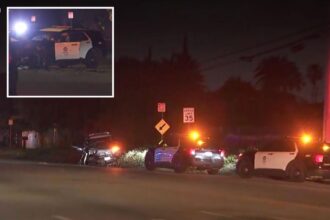 LA cops fighting for their lives after horror crash chasing suspected drunk driver