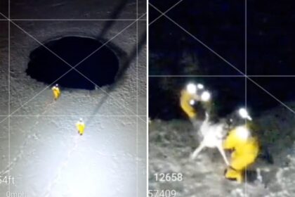 Massachusetts firefighters slide into frozen pond to rescue trapped dog