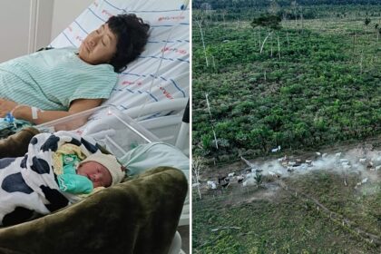 Unexpected birth brings hope to near-extinct Amazon tribe