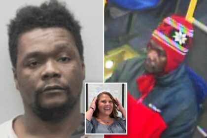 Exclusive | The pathetic reason illegal migrant who ‘hacked mom to death’ in lefty DC suburb was free — despite 30 arrests