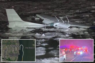 Pilot, passenger who crash landed in ‘another miracle on the Hudson’ cracked jokes after swimming to shore