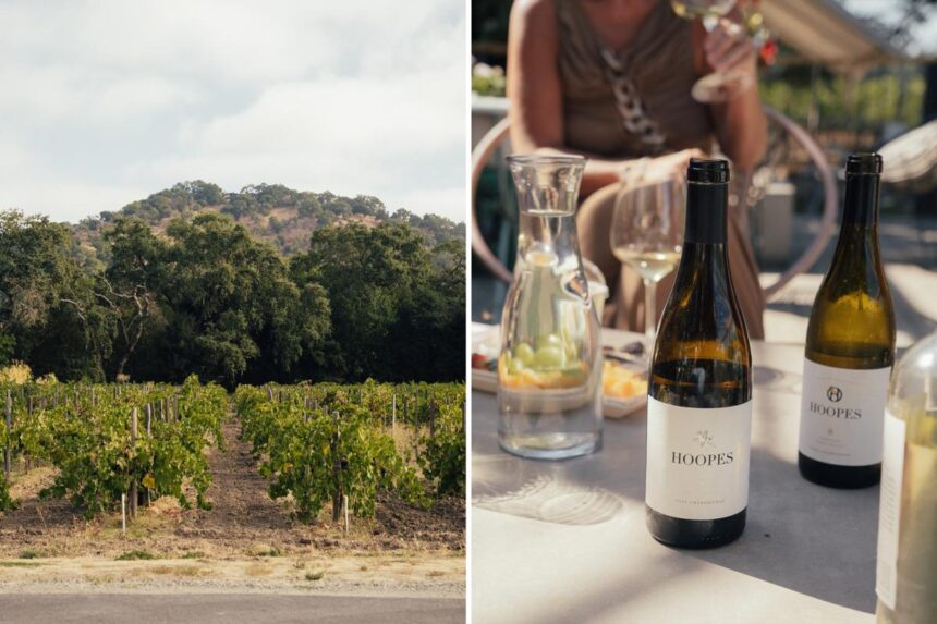 Fresh crisis for Napa Valley: Rogue winemaker faces bankruptcy after being fined M for secret rule breaking