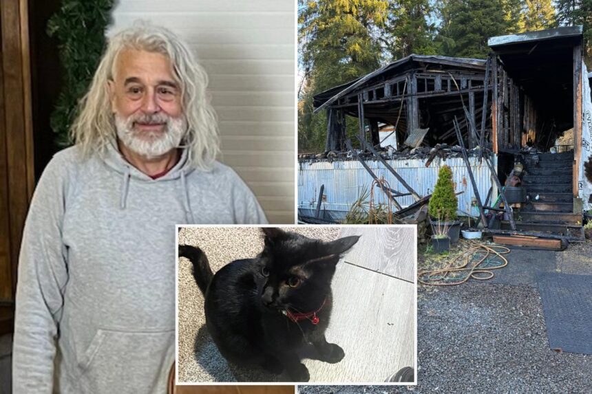 Loyal kitty sacrifices own life to save sleeping owner from house fire in Oregon