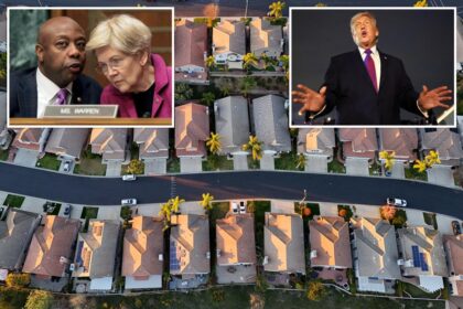 Senate passes Elizabeth Warren’s housing policy — with some unlikely conservative allies