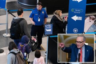Senate Dems refuse to end DHS shutdown as airport TSA workers suffer