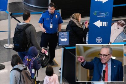 Senate Dems refuse to end DHS shutdown as airport TSA workers suffer