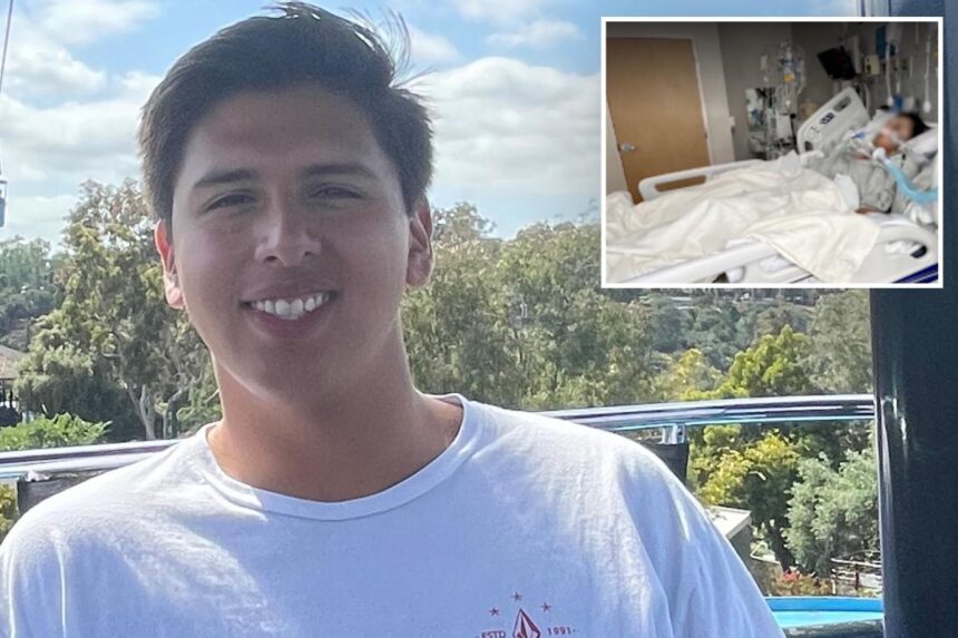 Horror as California Eagle Scout dies after being bit by a rattlesnake