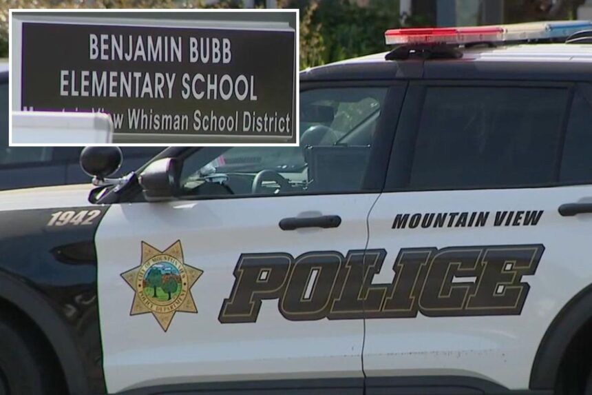 Horror as boy, 10, stabs seven-year-old girl at luxury California area school
