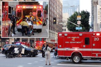 Multiple people stabbed in downtown LA