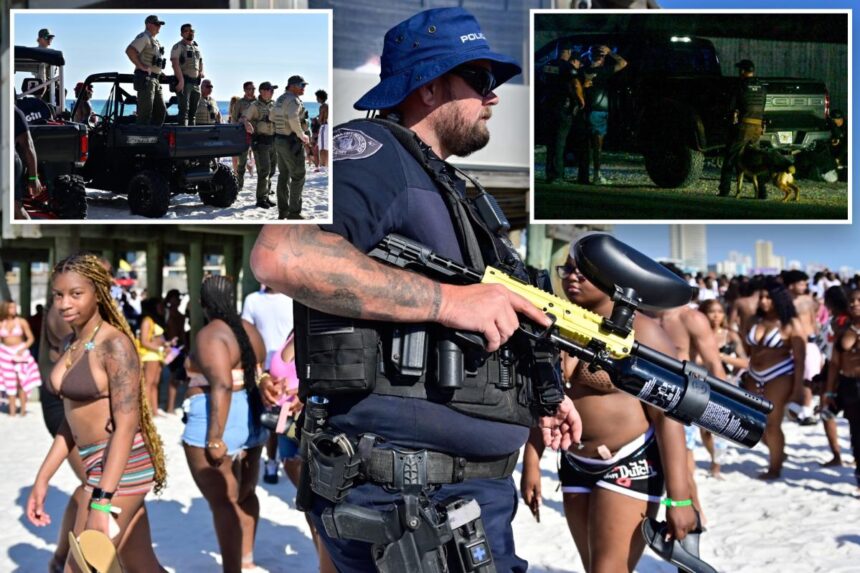 How spring breakers’ drunken flash mobs turn Florida towns, beaches into war zones