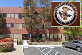 Illegal migrant stole  million from the government through insane racket