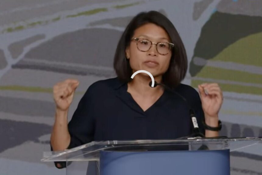 ‘Fix the audio!’ DSA debate turns into online trainwreck as broken livestream sparks viewer revolt