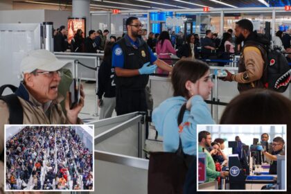 Airports in chaos as 460 unpaid TSA agents quit and call out sick amid DHS funding war