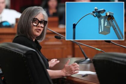 Lefty LA council votes to stick taxpayers with bill to keep lights on as copper wire thieves run rampant