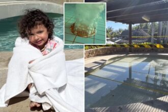 Girl, 3, has intestines ripped out in freak pool drain accident — and miraculously survives