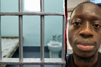 ICE arrests illegal immigrant training as Pennsylvania corrections officer suspected of rape