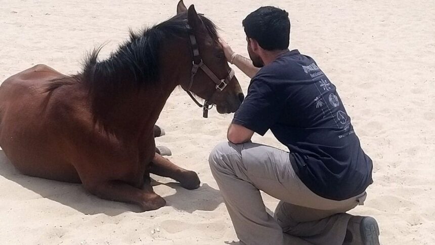 Horses help heal soldiers amid Israel’s mounting PTSD crisis after Oct 7 attacks