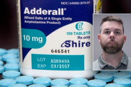 Former New York D.A.R.E. officer admits to selling drugs while in uniform in squad car