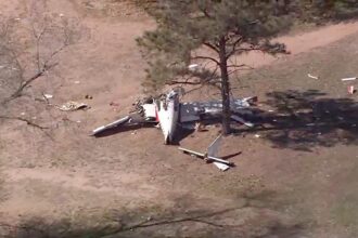 Emergency landing ends in tragedy as plane crashes on New Mexico golf course