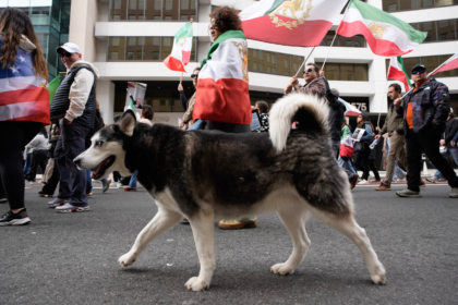 With dogs, dance and uncovered hair, Iranians defy ‘unholy alliance’ of socialists, radicals: ‘Hypocrites!’