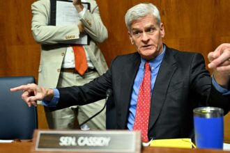 Senate Republican expands child care fraud crackdown to more blue states