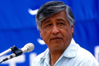 Dems face reckoning after putting deceased labor leader on pedestal as sexual abuse allegations emerge