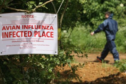 Highway shut down after waste truck carrying dead bird flu ducks crashes in northern Indiana