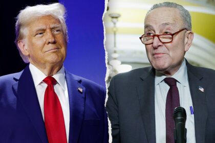 Schumer knocks Trump on Iran, plan to send ICE to airports: ‘Asking for trouble’