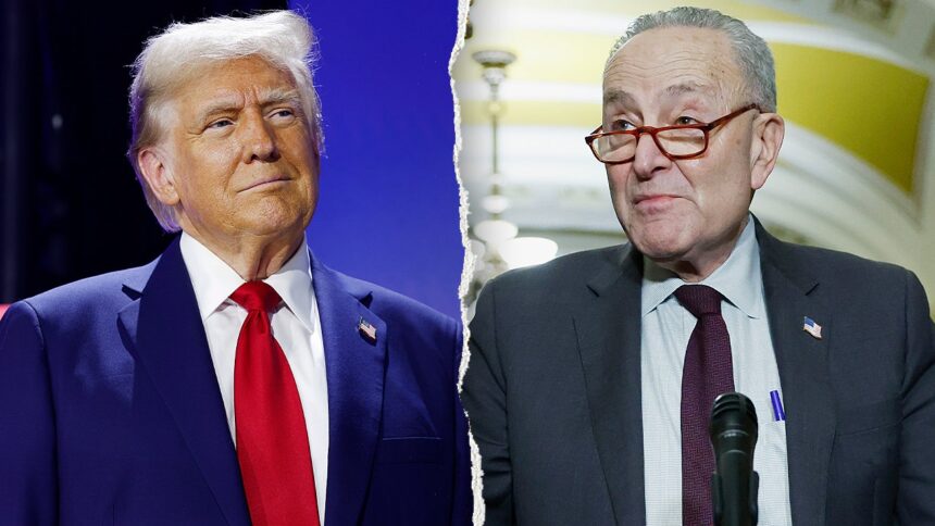 Schumer, Dems block DHS funding again, Trump intervenes to pay TSA agents