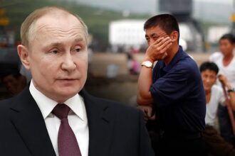North Korean laborers describe brutal forced labor in Russia: ‘Working like a cow, earning nothing’