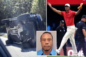 Tiger Woods pleads not guilty to DUI charges stemming from latest car crash in Florida