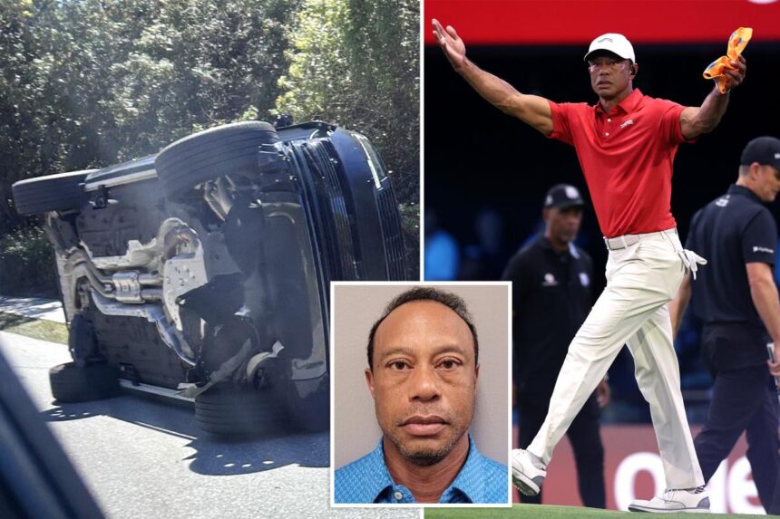Tiger Woods pleads not guilty to DUI charges stemming from latest car crash in Florida