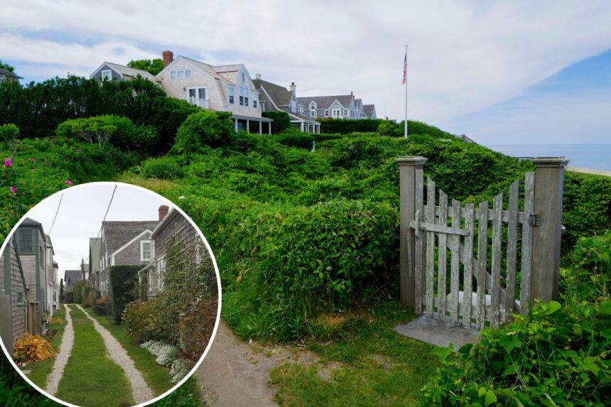 Wealthy summer hotspot hires patrol ‘docents’ to combat overtourism issues