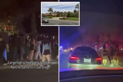 San Diego rager brings swarm of cops after hundreds of kids flood ritzy neighborhood
