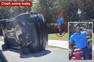Tiger Woods spotted using cell phone on side of road after alleged Florida DUI crash