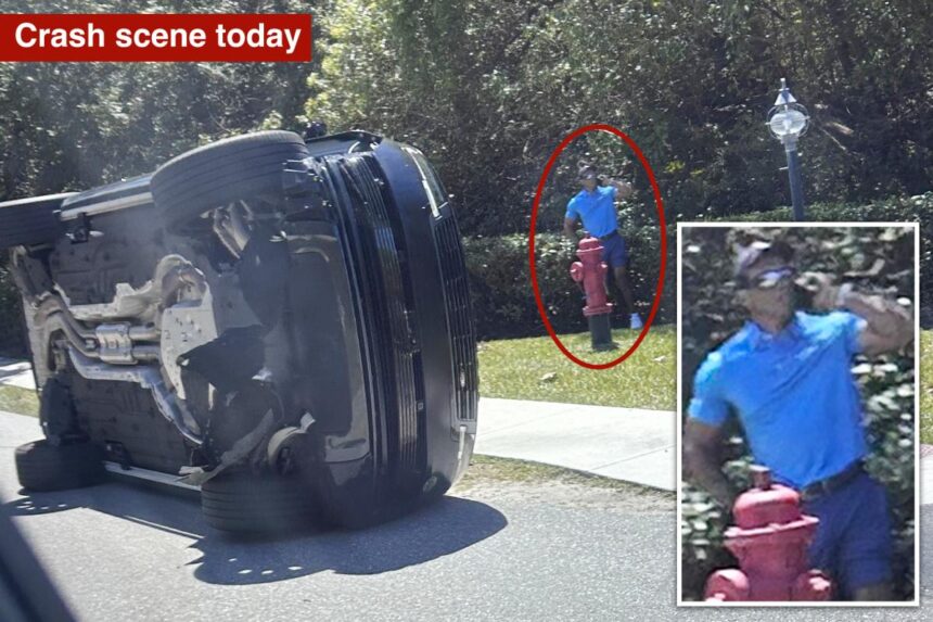 Tiger Woods spotted using cell phone on side of road after alleged Florida DUI crash