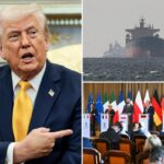 Trump calls NATO members ‘cowards’ over refusal to ‘help open’ Strait of Hormuz