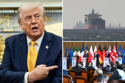 Trump calls NATO members ‘cowards’ over refusal to ‘help open’ Strait of Hormuz