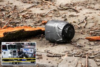 Bomb-making paraphernalia found in vehicle near where protesters tossed explosives outside Gracie Mansion