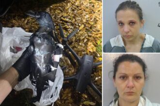 Texas pair arrested for using fake crows flown by drone — to smuggle these illegal items into Louisiana prison