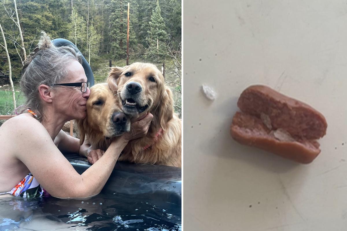 Colorado dogs poisoned after eating meth-laced hot dogs found tossed in family yard