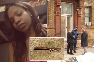 Cop bust boyfriend accused of hacking NYC mom to death, stabbing her son