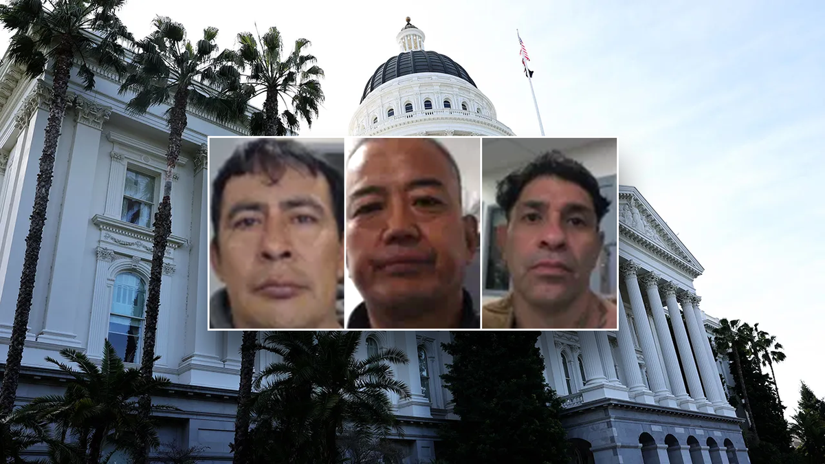 Hector Grijalba-Sernas, Xujin An and Angel Navarro Camarillo